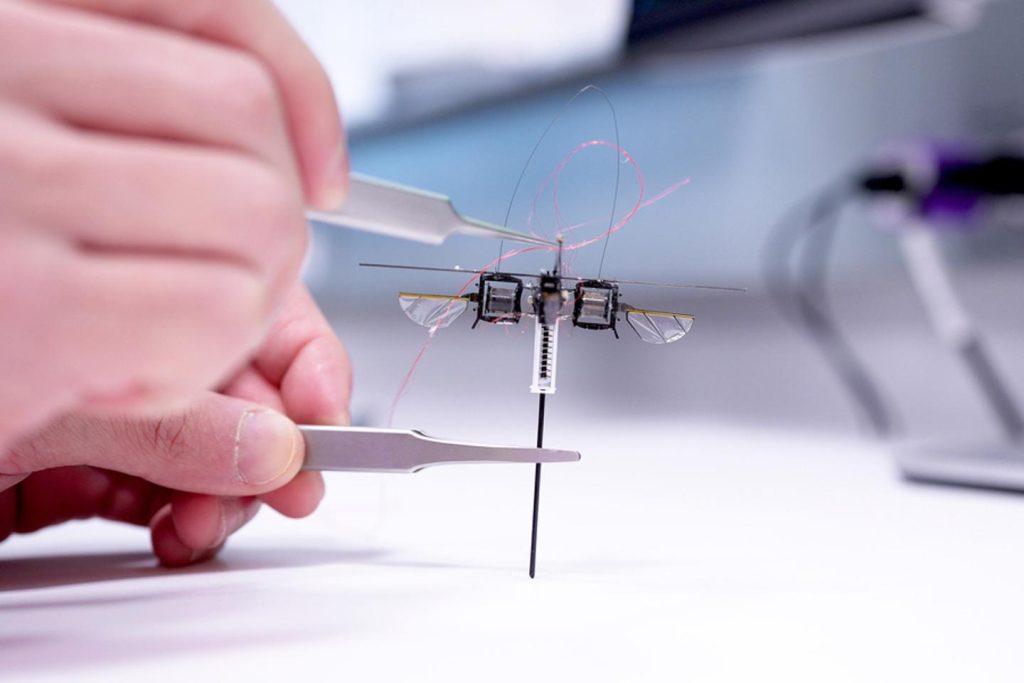 Building a small jumping robot with a combination of wings and springs [Persian]