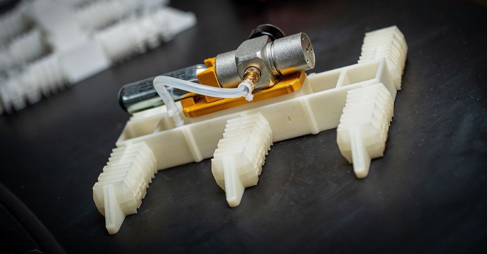 Revealed: The electronics-free robots that can walk straight off the 3D-printer [English]