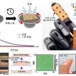Science Times/User Menu/Science and Technology/New Materials and New Technologies [Korean]