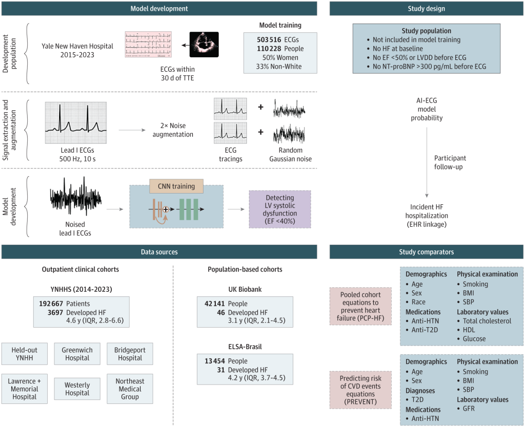 AI-Enabled Prediction of Heart Failure Risk From Single-Lead Electrocardiograms [English]