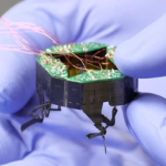 Agile and Adaptive Miniature Robots for Search, Rescue, and Repair [United States]