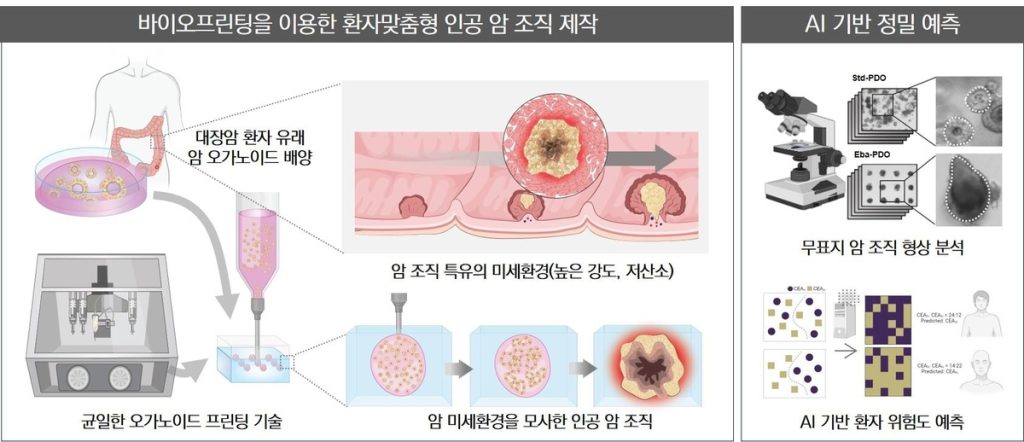 Science Times/User Menu/Science and Technology/New Materials and New Technologies [Korean]